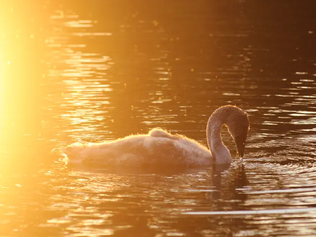 Roobet's OneEyedGregg Has a $3,800 Bounty Put Forth by Blue Duck